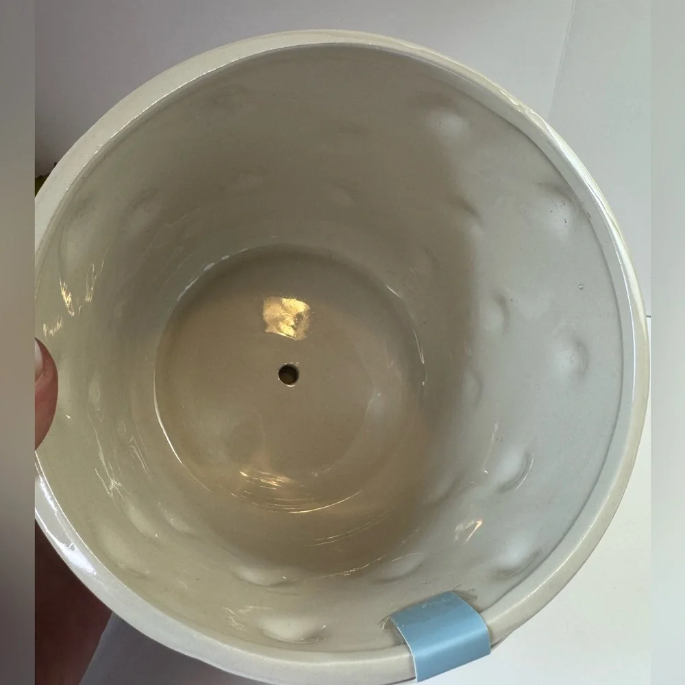 Ceramic Shell Planter with Iridescent Finish